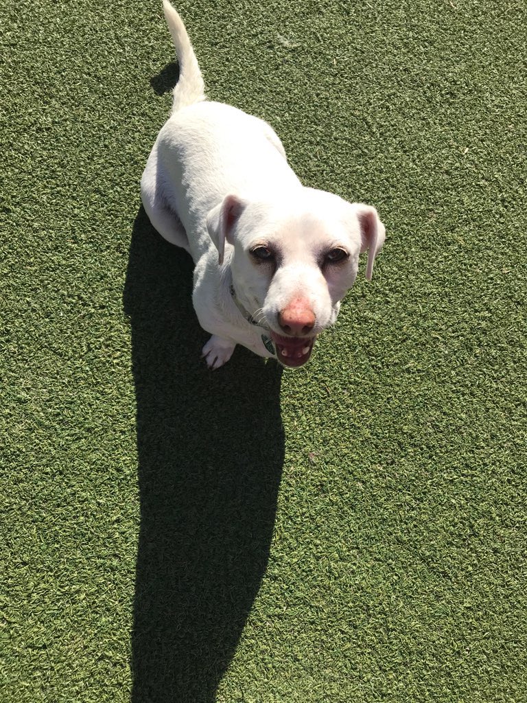 Bernal Beast tweet media