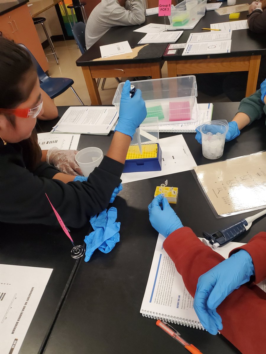 Students had a great time starting the ABE labs today where they are learning how to clone a gene! They are modeling the process of how insulin is produced.  #bringingbiotechtoec @mrsdaniels_echs <a href="/OsideUSD/">Oceanside Unified School District</a>