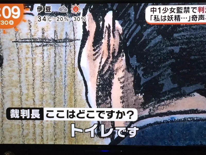 笑ってはいけない！法廷スケッチ４コマ劇場ｗｗｗ
