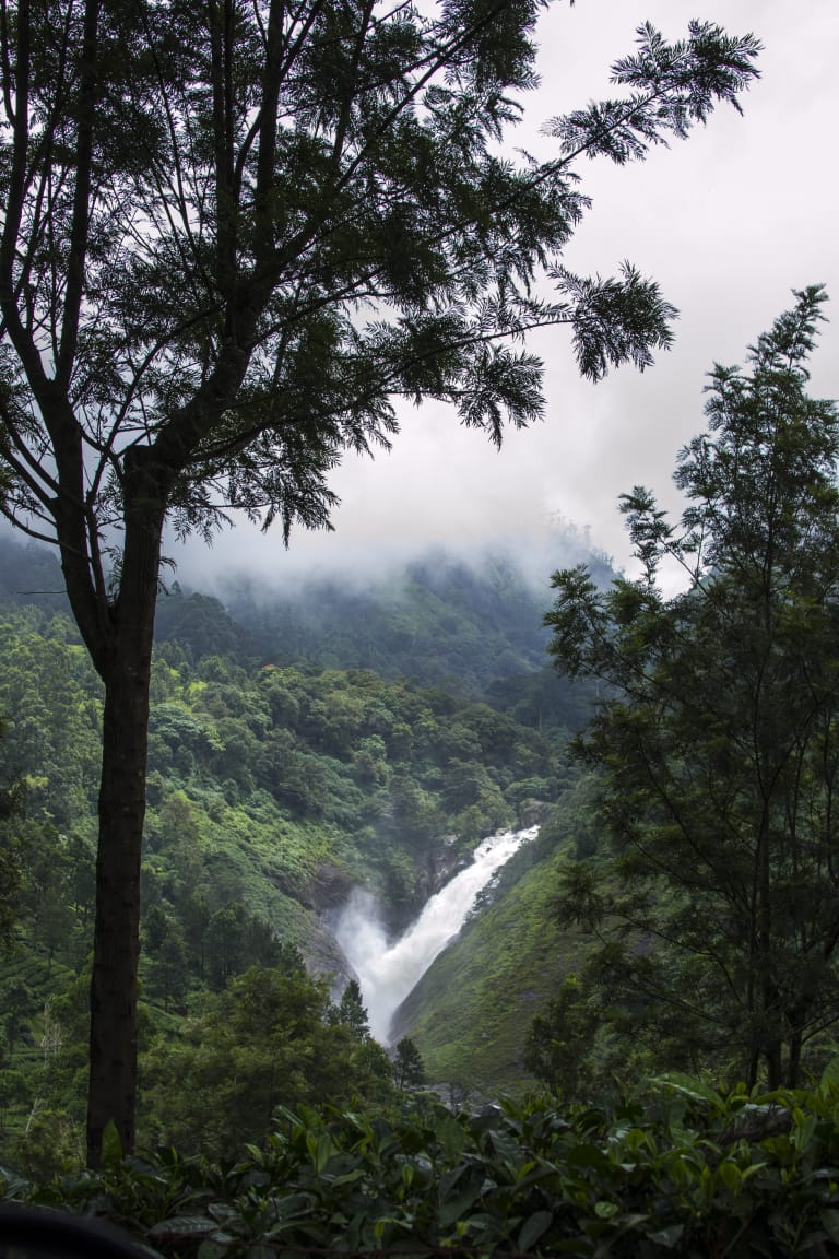 aranyakamunnar's tweet photo. There are many stunning Waterfalls in Munnar... 
 Spectacular views of Attukad waterfalls in Pallivasal Estate .

 #Munnar
#ShowcaseMunnar 
#VisitMunnar 
#RealMunnar
#SMARTMunnarhotels
#honeymoondestination 
#Hillstationholiday 
#aranyakaresorts
#aranyakamunnar https://t.co/LnjlxcllLi