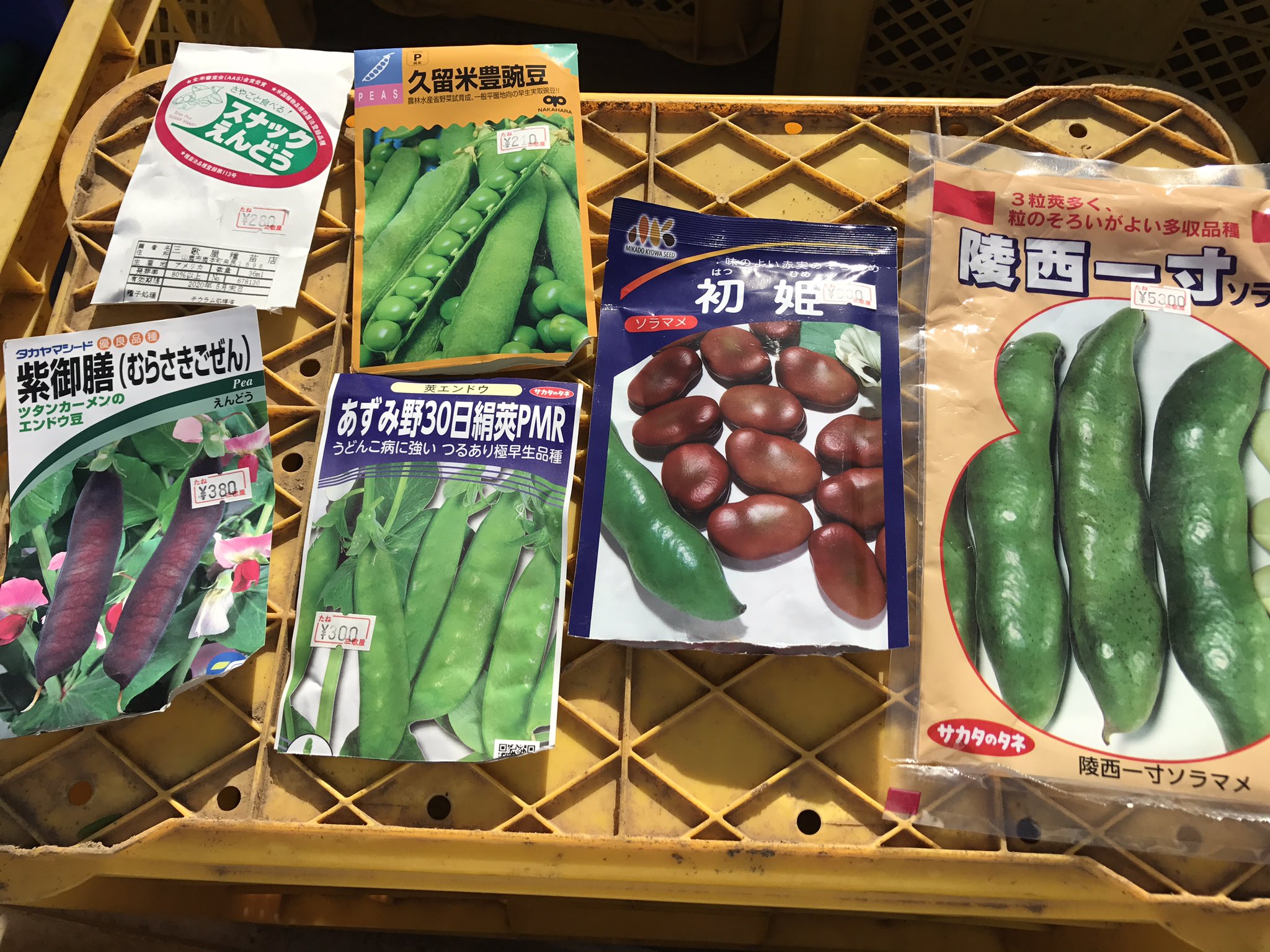 ツタンカーメンのエンドウ豆 Twitter Search Twitter