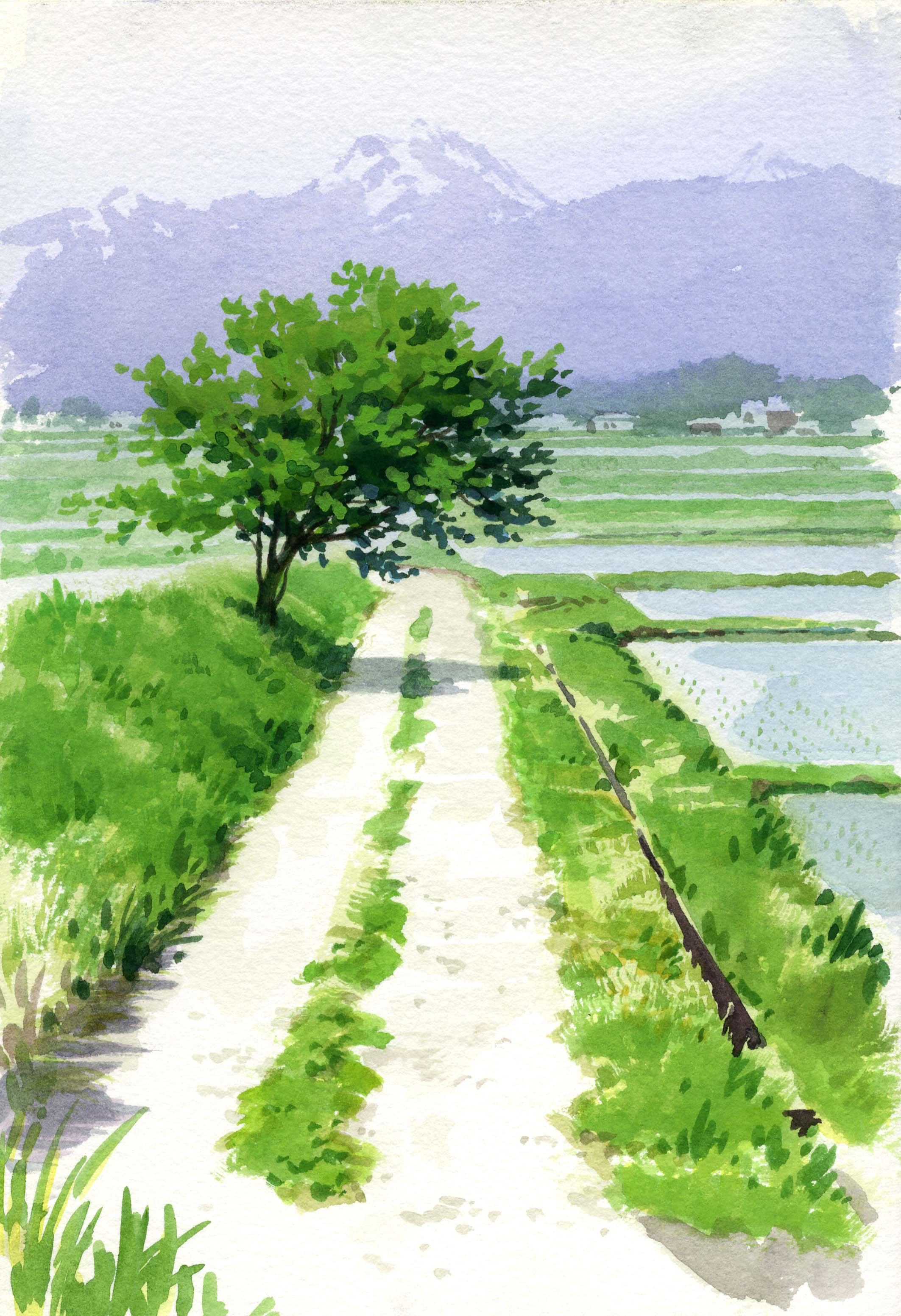 水彩画 いち on X: 