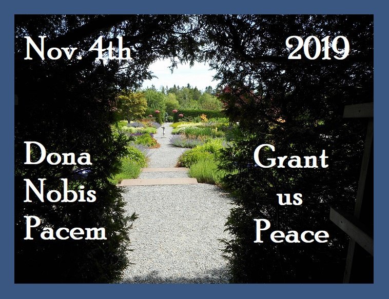 apieceofmymind's tweet image. #Blog4Peace
Keep pushing back against the darkness
Keep insisting on speaking truth to power
Take part in the democratic process by voting. Make sure that your voice is heard
Peacefully protest before it becomes forbidden
Remember -- &quot;freedom is not free&quot;