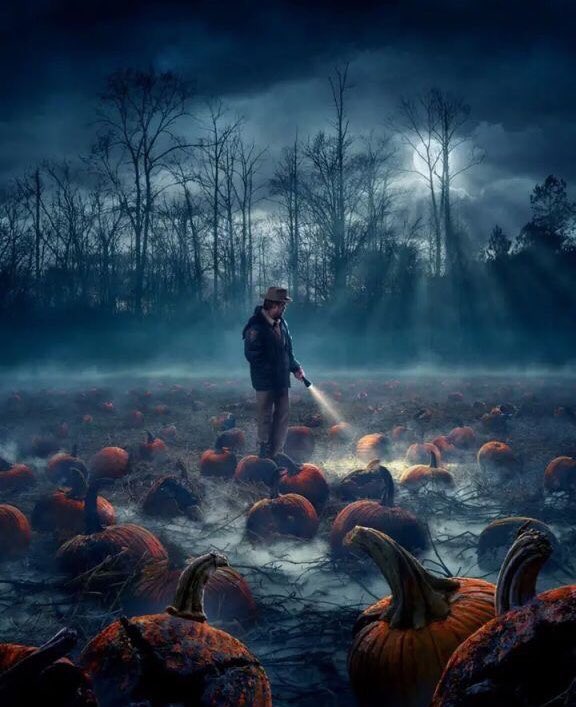 LilWayWxtsxn's tweet image. L A  V I L L A  D E L  T E R R O R

 ——— Stranger Things ———

Octubre; grupo — @LetxWay @EzraLetoArms @JakxbLetx @HxrryBiersack @AutumnRxses  @TsijiariBiersck