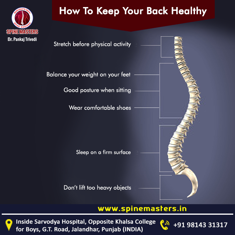 spine masters on Twitter: