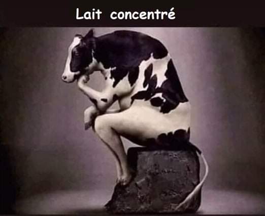 LaurentFranckx's tweet photo. https://t.co/f9vrQcEqOm