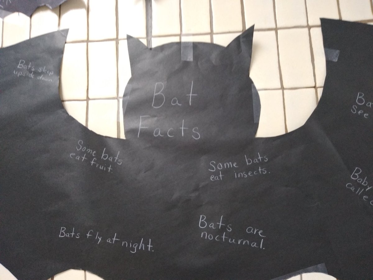 cchavez_TDS's tweet photo. Pre-K1 sharing bat facts during science. #objectsinthesky #thisisprek #TDS #THEDISTRICT @TierraDelSol_ES @RebecaParada_ https://t.co/45lzx7L0Wz