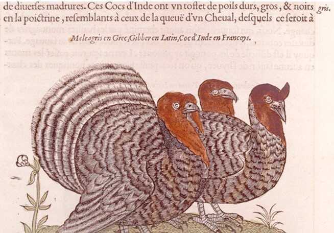 Celebrate #Thanksgiving 2019
Thursday, #November28th
Bouley Test Kitchen
ALL #ORGANIC THANKSGIVING Six Course #tastingmenu w/ optional #wine pairing 
11:30am–9:00pm wine
<a href="/BouleyTK/">Bouley Test Kitchen</a> 
31 West 21st Street 
11:30am–9:00pm
Reservations: davidbouley.com/thanksgiving/#…