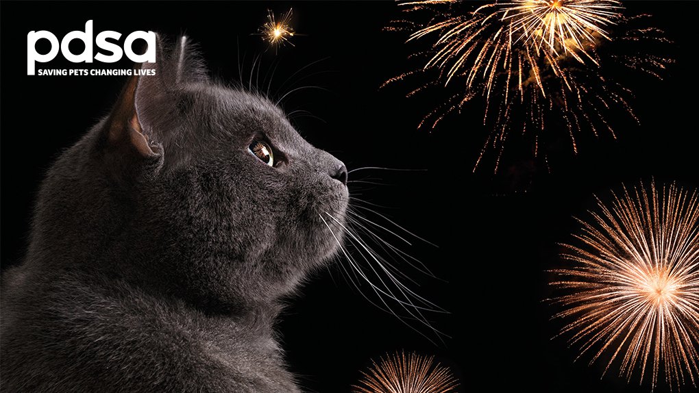 PDSA_HQ's tweet photo. Remember remember the 5th of November... can be a stressful time for #pets.
Do you know how to calm your pet down?
Take our quiz for the chance to #WIN a cat or dog hamper worth Β£200 β‘οΈ https://t.co/EIDyhRSjMS
#BonfireNight https://t.co/0q0VHxj6CV