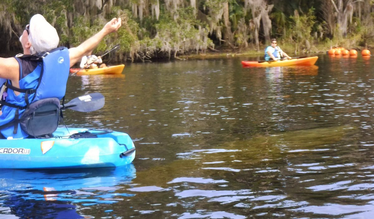 Fun, Exciting,and Informative! 
Blue Springs Manatee Eco tours! 
KayakBlueSprings.com