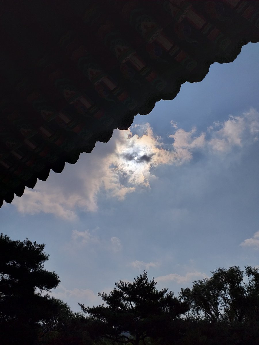 애완견이 하늘에 보이는데 관심있으심분 한본 감상하시길바람니자