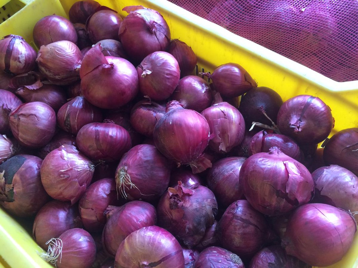 BenokLtd's tweet photo. We are almost getting into the festive season where your culinary skills will be tested, and you will want to show such prowess. No worries, we have a magic ingredient. For just 40/KG, you get these awesome onions.

Call us today on 0700047095 to place your orders 
#IkoKaziKE https://t.co/5D5tlnFHM9