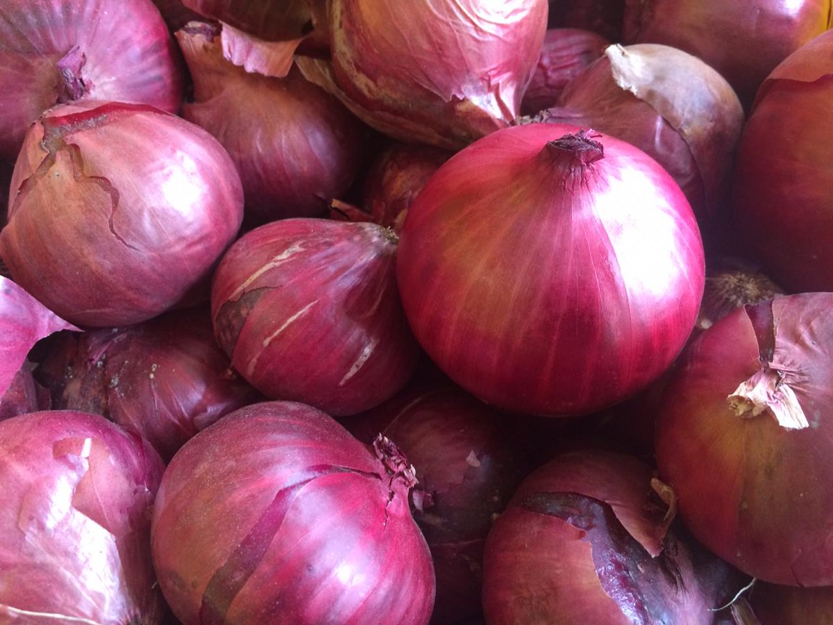 BenokLtd's tweet photo. We are almost getting into the festive season where your culinary skills will be tested, and you will want to show such prowess. No worries, we have a magic ingredient. For just 40/KG, you get these awesome onions.

Call us today on 0700047095 to place your orders 
#IkoKaziKE https://t.co/5D5tlnFHM9