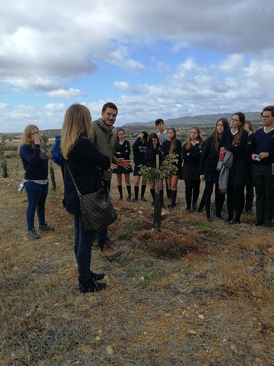 CordobaCiencia's tweet photo. ¡Primera visita a #EspaciosDeCiencia! El @ColegioAlauda ha conocido las últimas tecnologías en tecnología agrícola en la Finca Experimental de Rabanales de mano de su responsable técnico @FMarquezUCO 🚜🌱🌿 https://t.co/Yk05xKsbuD