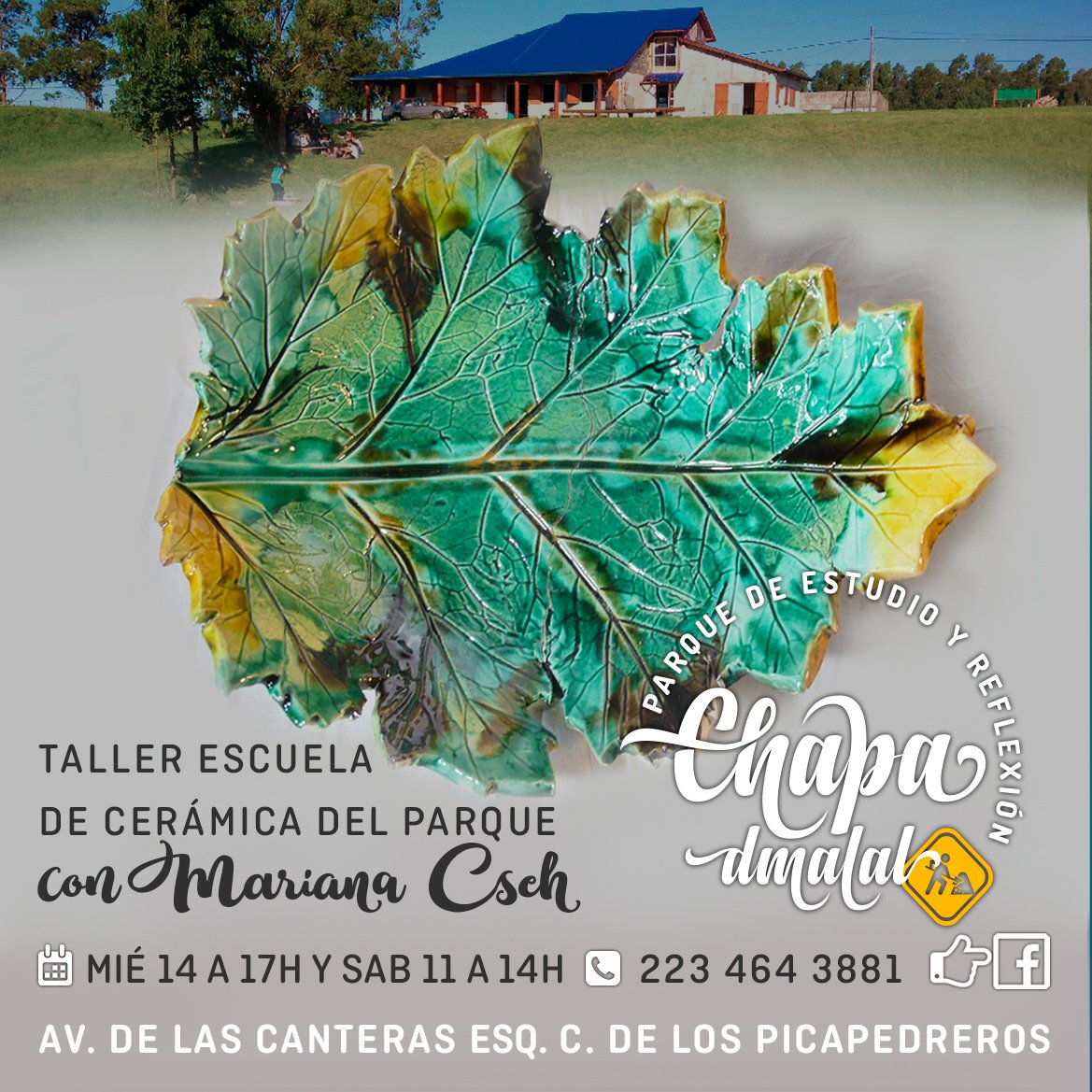 Raul Woo (@raulwoo) on Twitter photo 