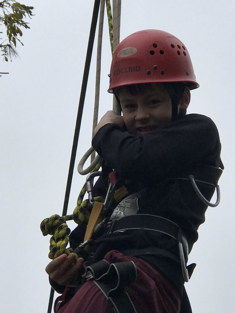 Cam Everlands tweet media