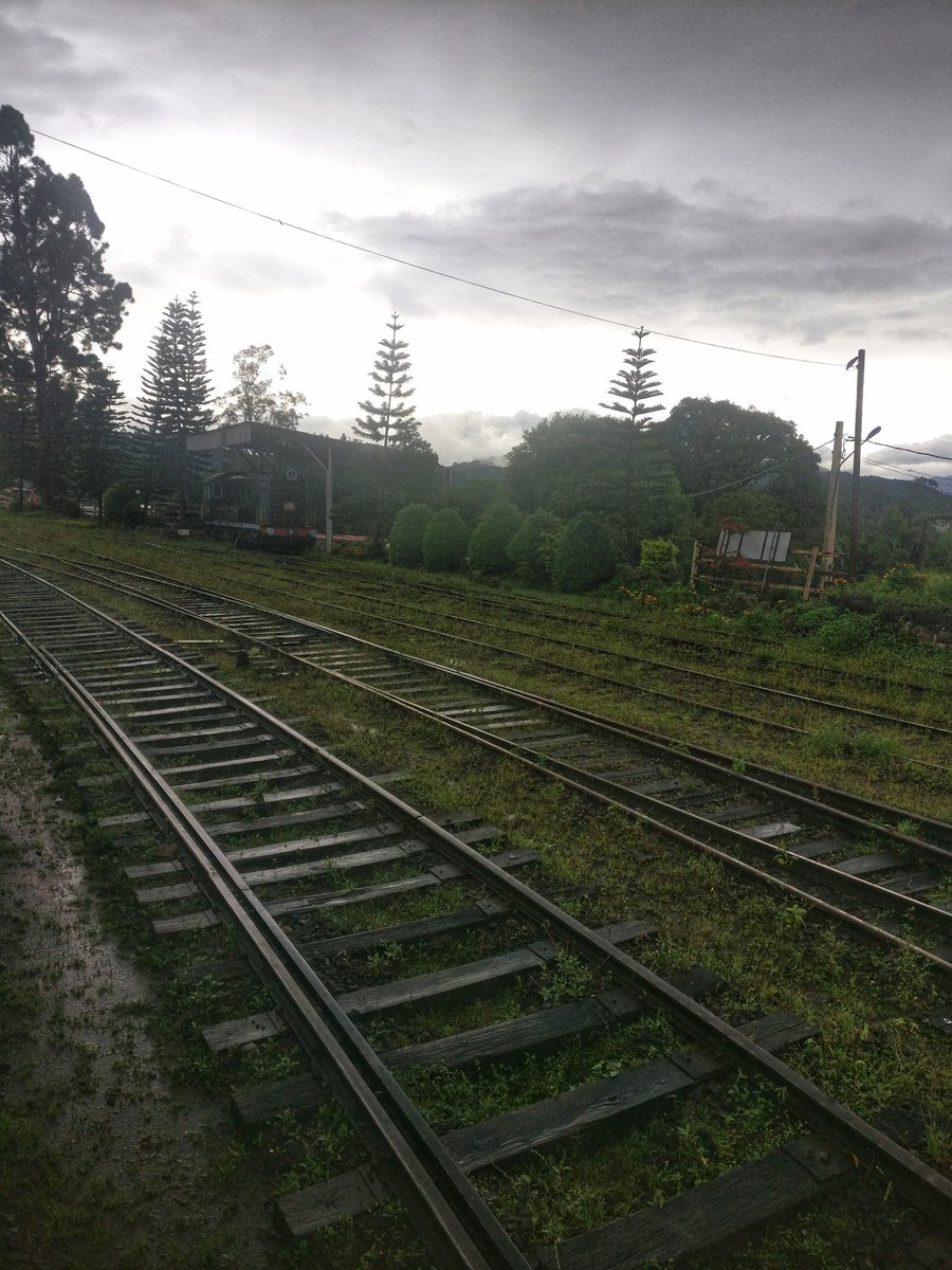 MurthyNiveditha's tweet image. Your path is beautiful and crooked and just as it should be.

#projecthappiness #SriLanka #ellarock #Ella #hikingadventures