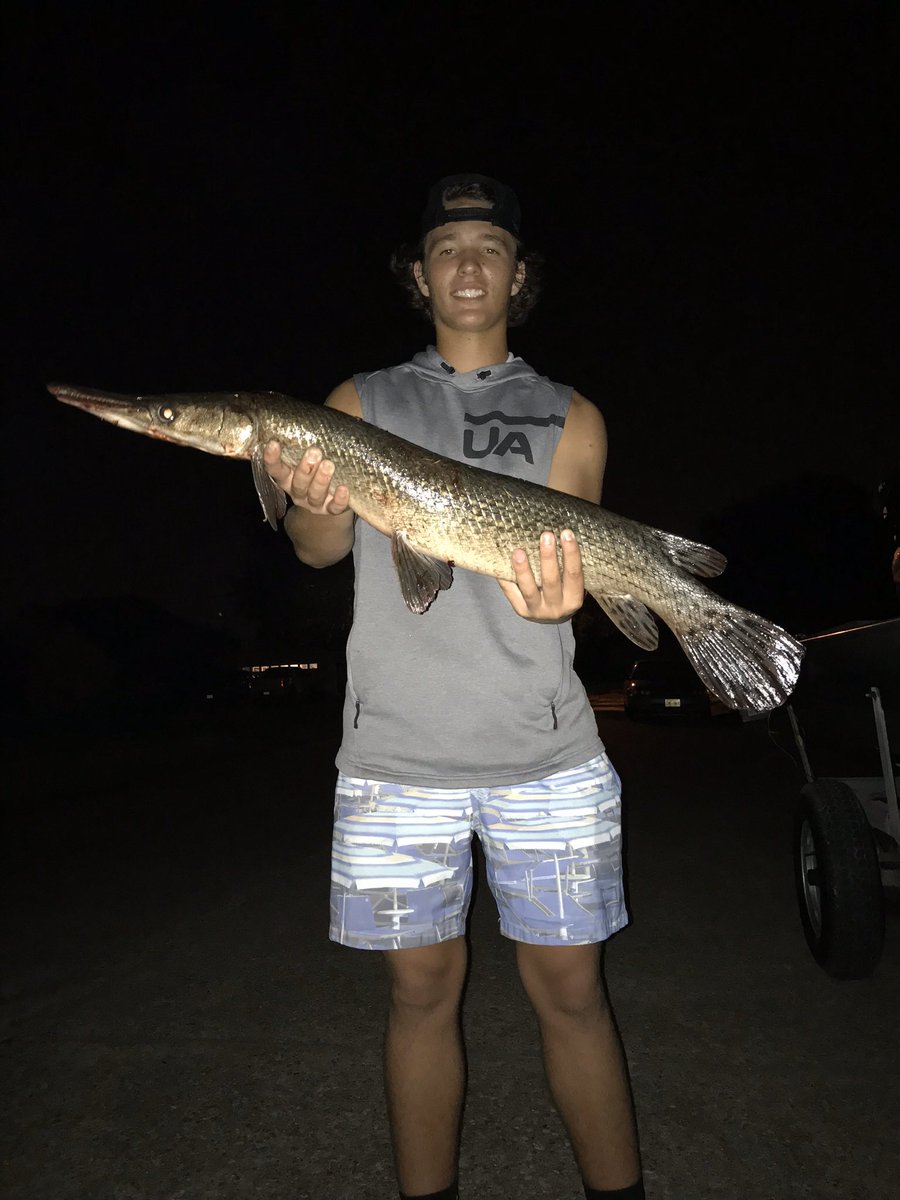 Tyler Faulk tweet media