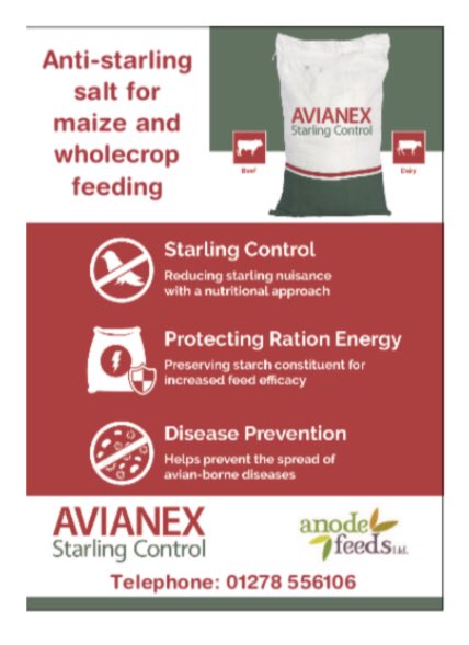 AnodeFeeds's tweet photo. Don’t forget to call us if you need help with Starling Control!! https://t.co/Fz1eCIV4sH