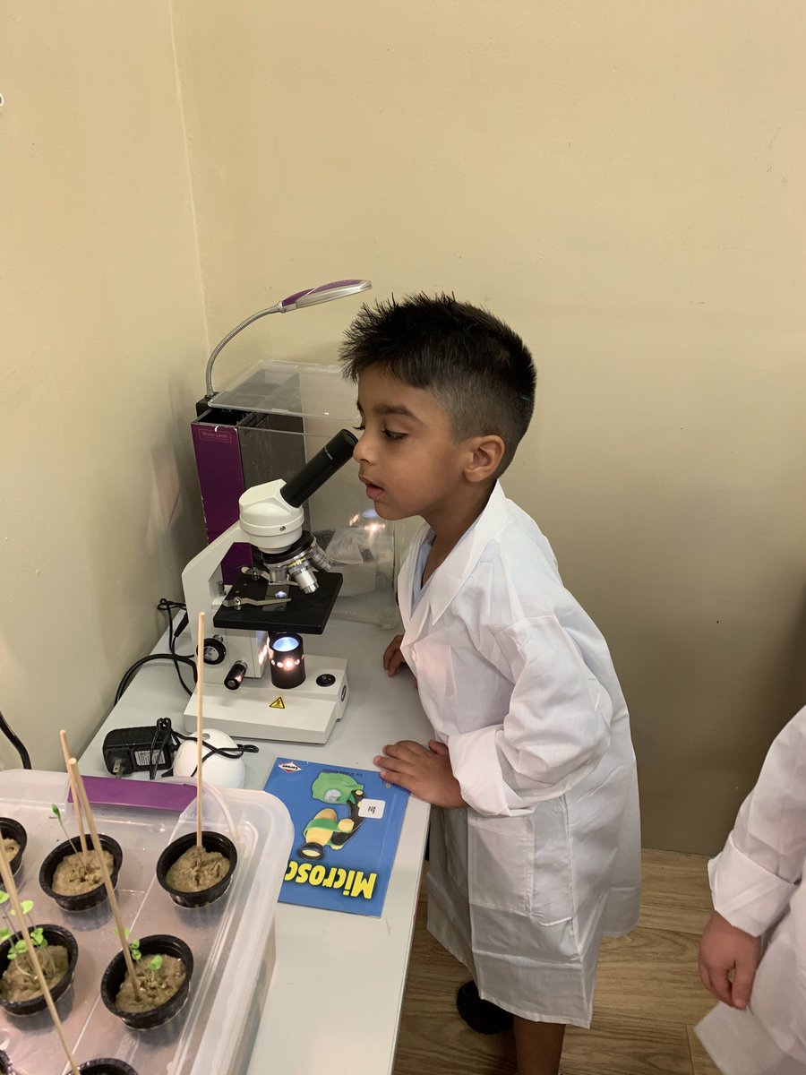 @DIA_KG2B exploring and investing in the <a href="/STEM/">Stem</a> lab. <a href="/DIA_Sciences/">Science | DIA Emirates Hills</a>