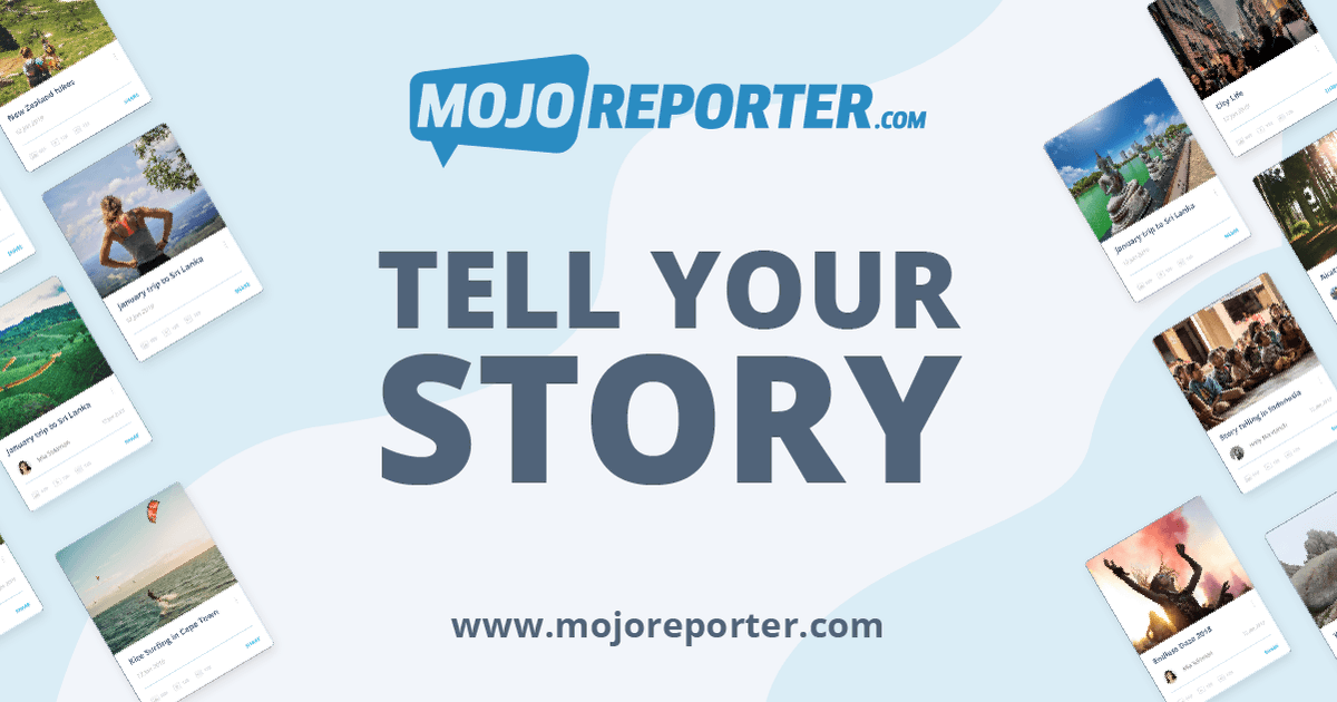 MojoReporter tweet media