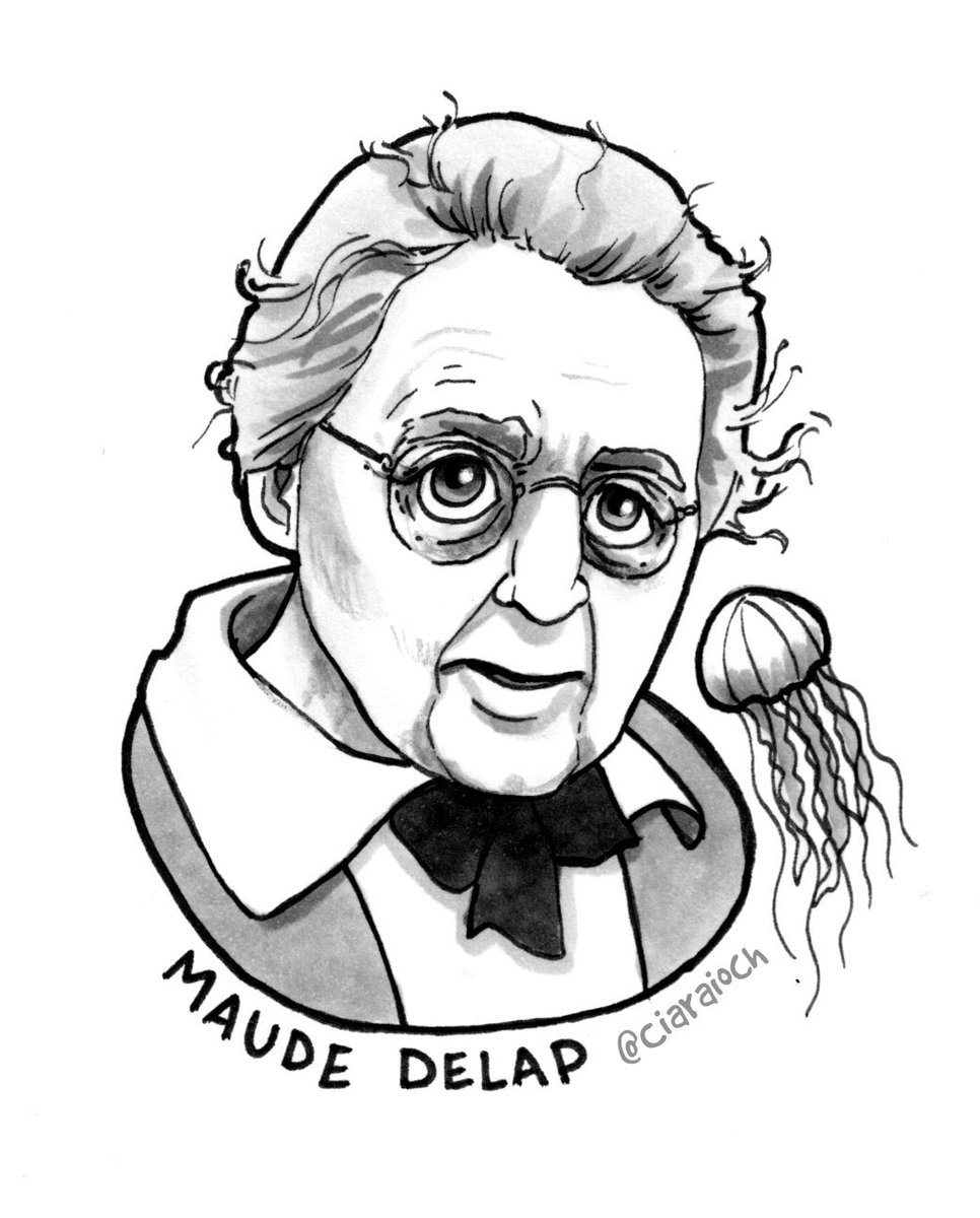 Born in Donegal, raised in Kerry, Maude Delap is  #MiniMná 5. A self-taught marine biologist when women were expected only to marry, she was the first person to breed jellyfish in captivity in her homemade lab on Valentia, and had a sea anemone species named after her.  #Mnávember