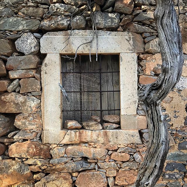 KritsaCrete's tweet photo. Finokalia (Φινοκαλιά) Crete
•
•
•
•
#philbebbington #terrorkitten #finokalia #φινοκαλιά #lasithi #crete #greece #villagesofcrete #window https://t.co/IGrAbnyh4m