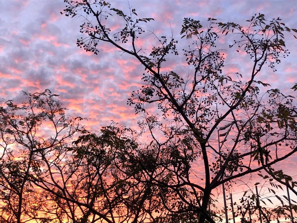 visit_mataro's tweet image. #Bondia! Volem desitjar-te un #feliçdimarts amb aquesta preciosa posta de sol, captada ahir des del barri de la #Llàntia de #Mataró 🌄 #PostadeSol #atardecer #sunset #FelizMartes 🧡💜