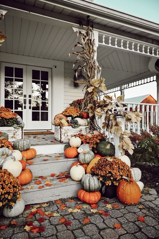 Octubre 23🍂🎃

—Junto a su esposo e hijo (<a href="/DiegoxTG/">D</a> @LetxTxrx) por fin había logrado terminar de decorar su casa por dentro y por fuera. Jakob estaba feliz de pasar su primer Halloween en familia y en su propio hogar, así que aquellos eran días  emocionantes para él—