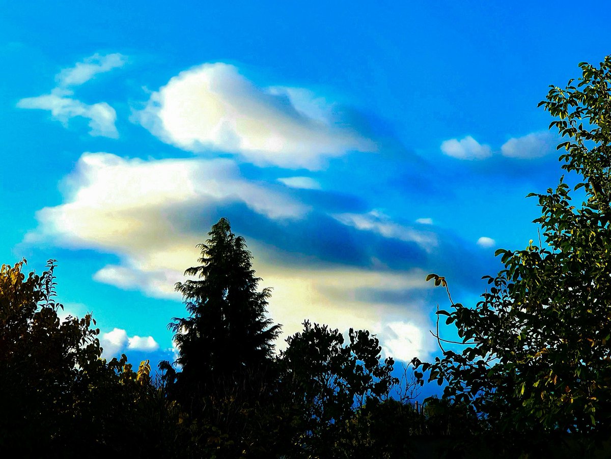 Wolkenbild ☁️🍁☁️
.
#alexandragattung #sky #skyphotography #clouds #cloudsphotography #wolken #wolkenphotograph #photography #PHOTOS #photographer #landscapephotography