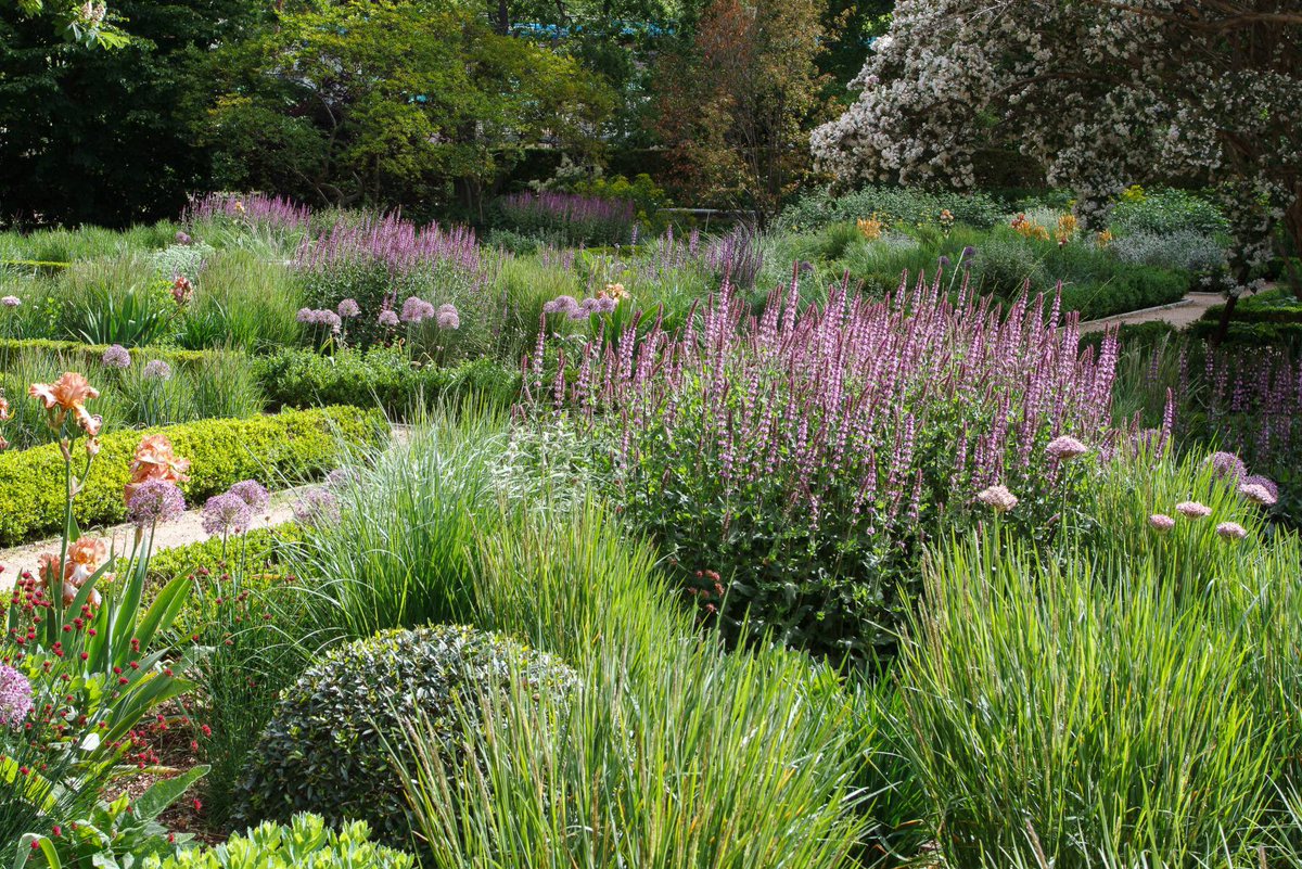 ACuboC's tweet photo. Así es el nuevo Jardín Botánico de Madrid @RJBOTANICO que firman los mejores paisajistas (y no pararás de ver en Instagram)
 https://t.co/ulnIyvzlWj
#Jardinería #paisajismo #patrimonio #Madrid #gardening https://t.co/ahiuKdpMWt