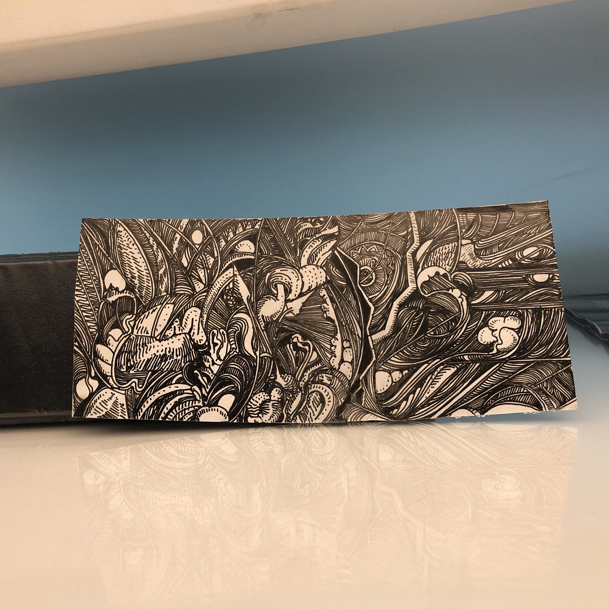 thebiscuitboy_'s tweet image. Finished in 7hrs over two days. :) #doodle #peterdraws #art #latinxart #possums