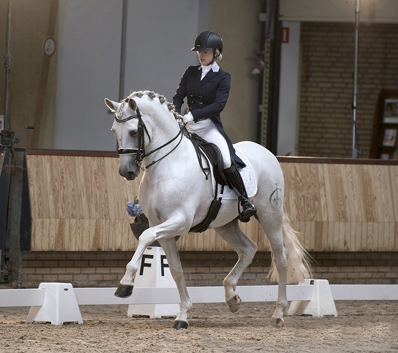 Eerste aflevering ‘Opgezadeld met Britt’ positief ontvangen: Maandagavond was de eerste aflevering van ‘Opgezadeld met Britt’ te zien bij SBS6. In deze documentaire, gemaakt door Annette van Trigt, wordt het enerverende leven van Britt Dekker gevolgd.… dlvr.it/RHdzg9