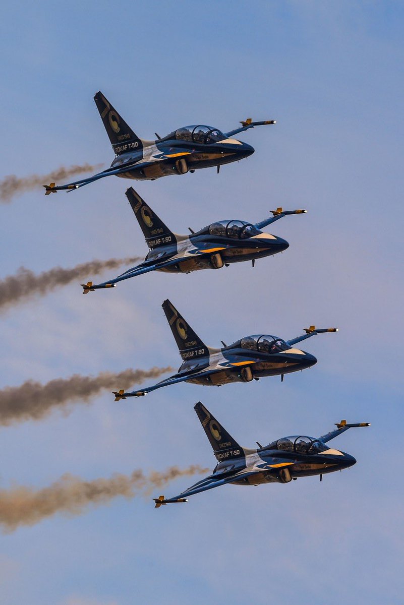 '한+아세안 하나의 바다, 하나의 하늘'
⠀
<한•아세안 특별정상회의 개최기념 환영행사 블랙이글스 축하비행>
⠀
•사전훈련
일시: 11. 8.(금) 14:00 / 11. 6.(수) 15:30
장소: 국립해양박물관(영도구 소재)
⠀
•본행사
일시: 11. 10.(일) 14:00
장소: 국립해양박물관(영도구 소재)