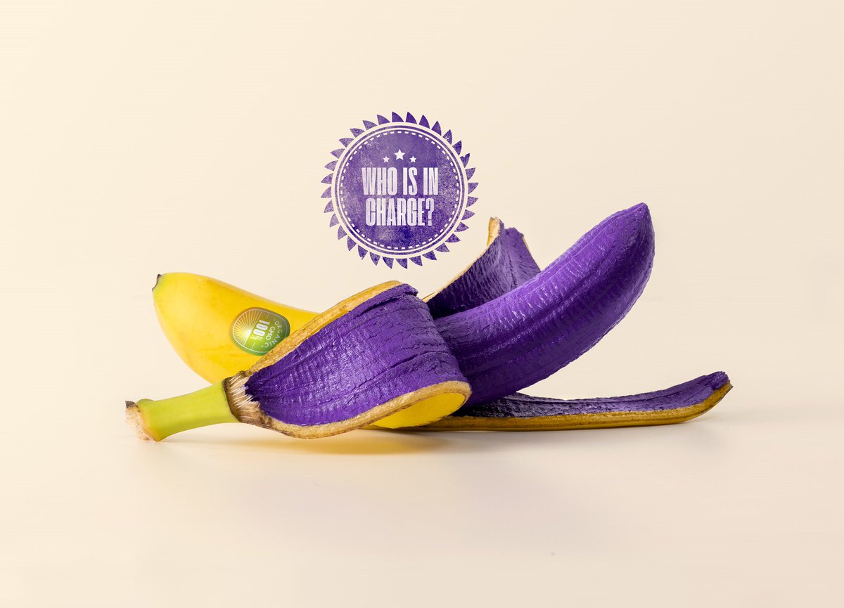 HANnl's tweet image. Heb je al een keuze gemaakt? Naar welke onderzoeksfilms ga jij tijdens filmfestival InScience? Koop nog snel kaartjes op bit.ly/33flMp2
#InScience #onderzoek #GMO #Nijmegen