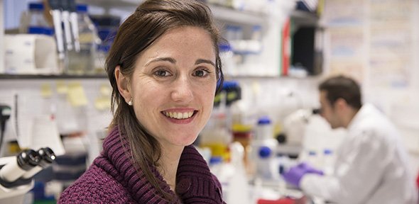 Dr Meritxell Huch, who led the research, said: "Our finding pinpoints TET1 as the protein that enables plasticity of the ductal cells and their regenerative capacity in response to injury". bit.ly/32c6XC3 #liver #regeneration #cirrhosis #drugdesign