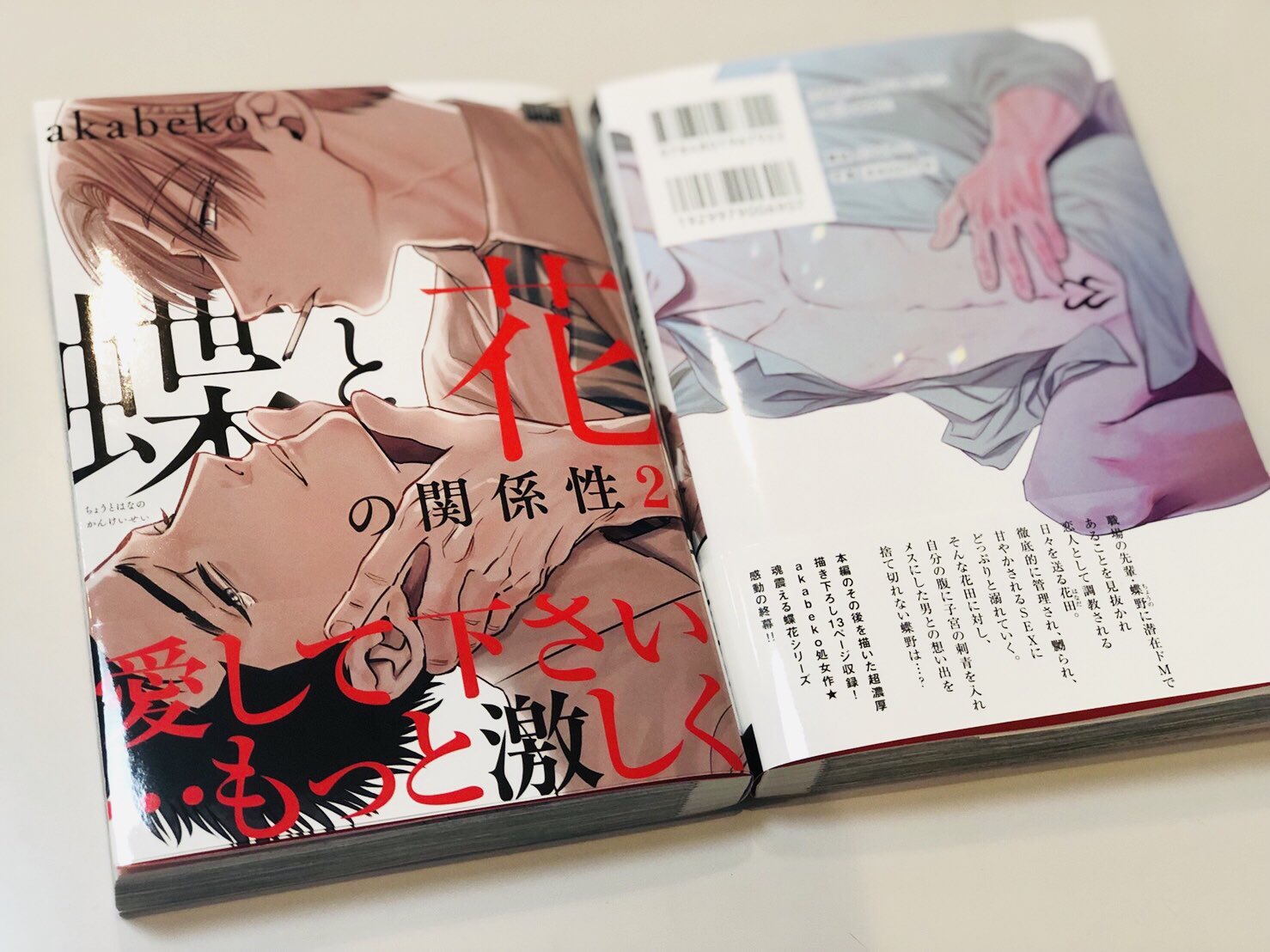 麗人編集部 新刊情報 11月7日 木 発売 Akabeko先生の麗人uno 最新刊 蝶と花の関係性２ の見本が出来上がりました 大人気 蝶花シリーズ 完結巻 ドｍ花田とドｓ蝶野 2人の愛が行き着くところは 本編その後をえがいた描き下ろしも収録 発売まで
