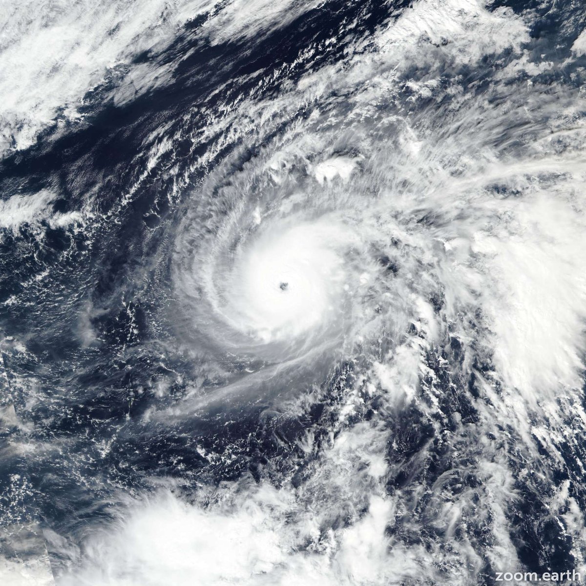 zoom_earth's tweet image. Latest NASA image of Typhoon #Halong. More satellite photos and forecasts available here: zoom.earth/storms/halong-… #TyphoonHalong #Typhoon23 #台風23号 🛰