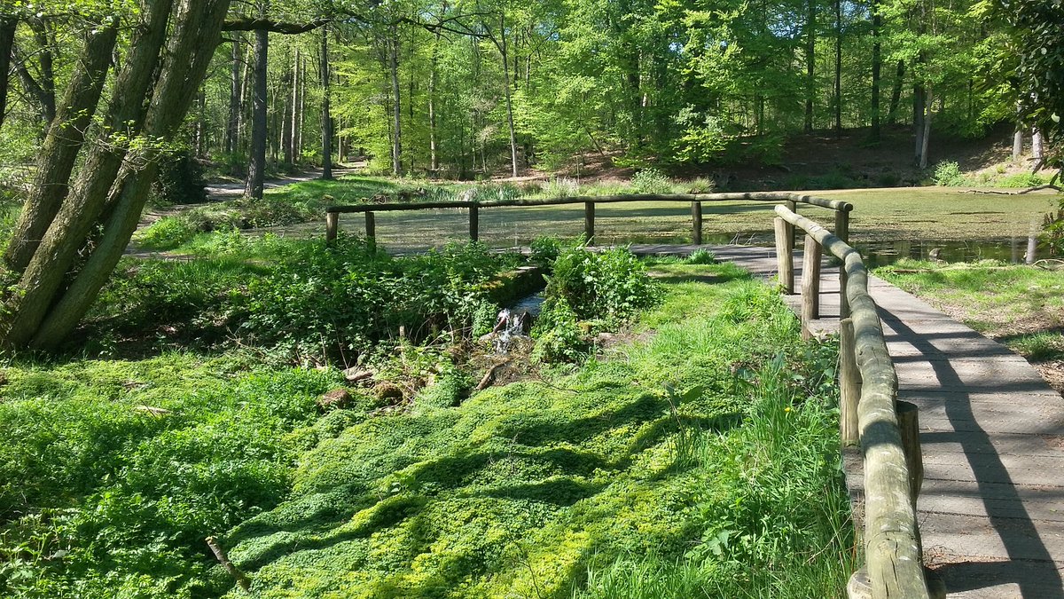 BoswachterIrene's tweet photo. Een prachtig aantal van ca. 350 personen liepen het afgelopen seizoen mee met de wekelijkse avondwandeling op het #Springendal, dit jaar vanaf #HoeveSpringendal. Super geslaagd! https://t.co/M2pt7vli6b
