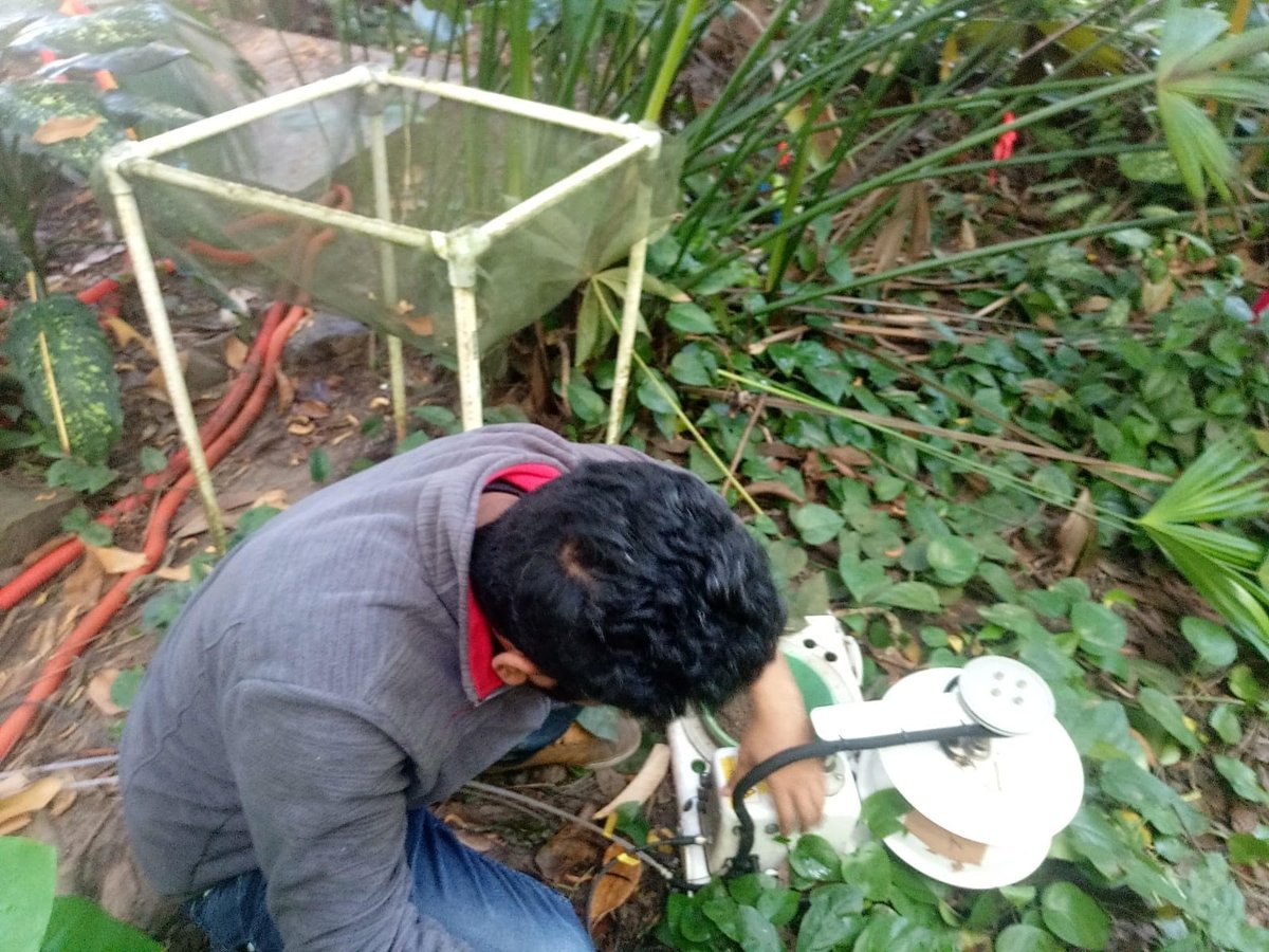 Kathiravan joins #B2Wald project in the tropical rainforest in Biosphere 2 @b2science to find the fate of carbon in stem and soil in the largest rainforest drought experiment ever performed in a greenhouse.