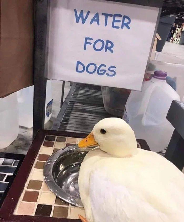 This says a lot about our society