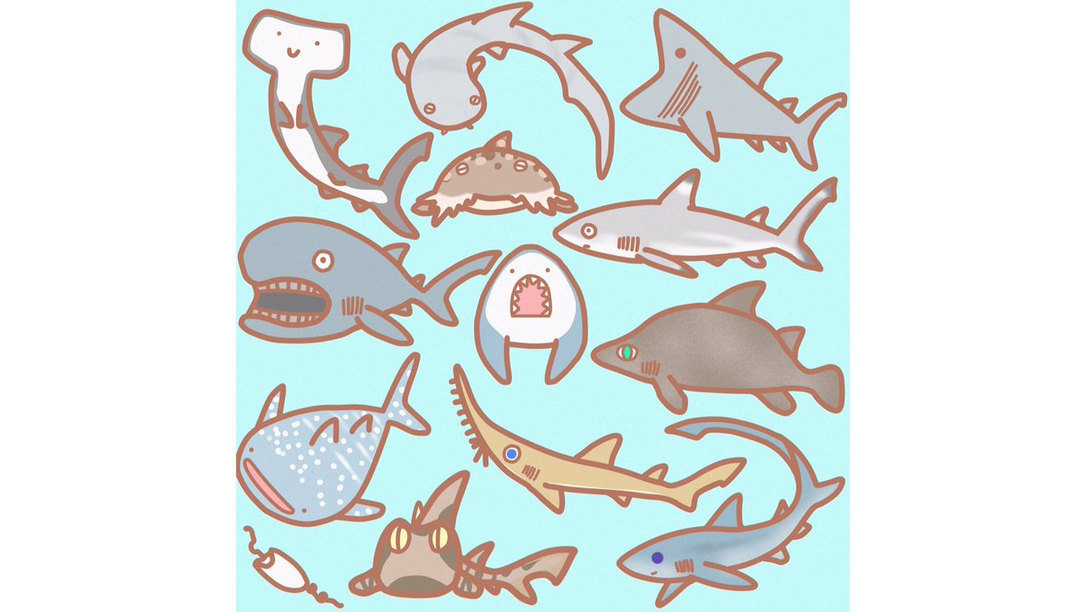 けいこっとん ゆるサメイラスト いろいろなサメ Shark Illustrations サメ イラスト