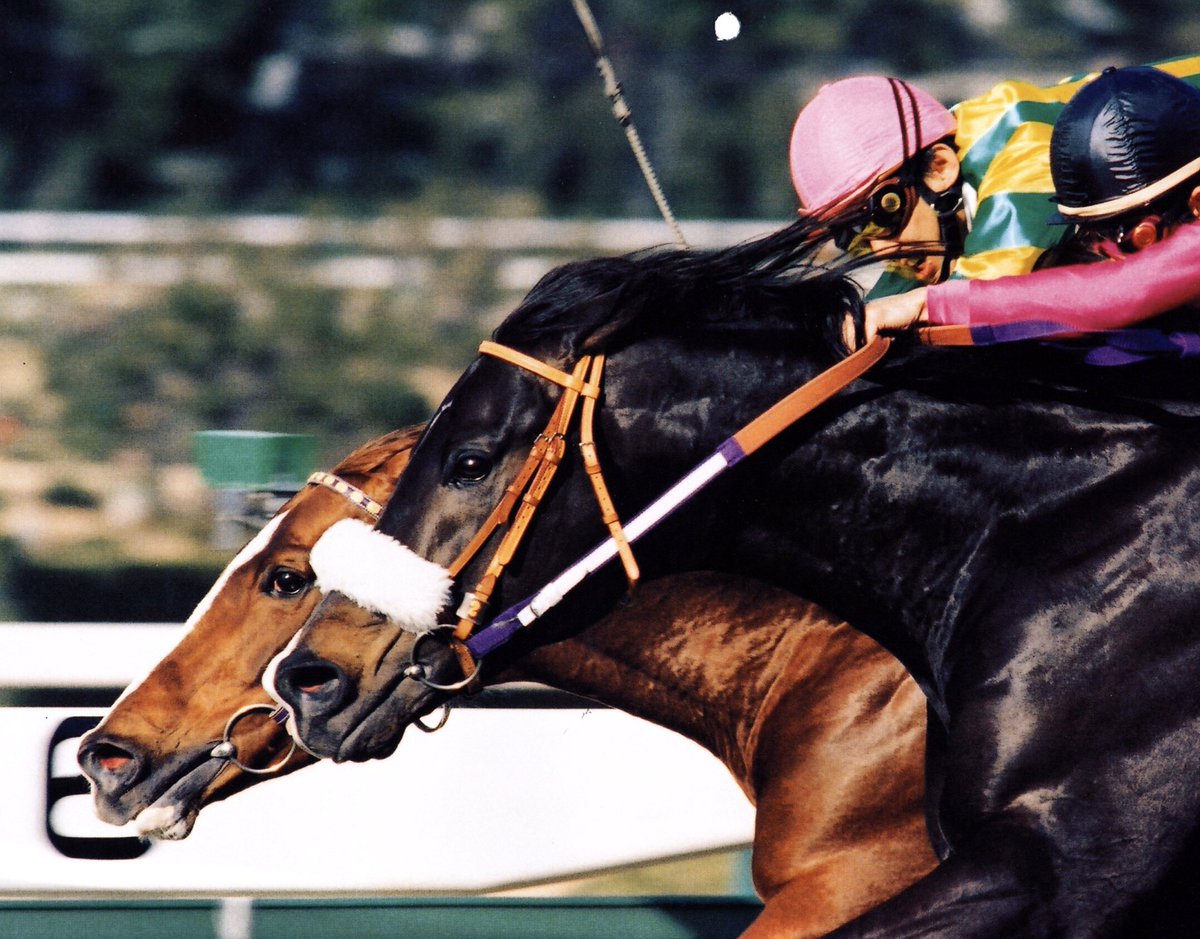 競馬おやじ シンボリルドルフ推し Rowbashin Twitter