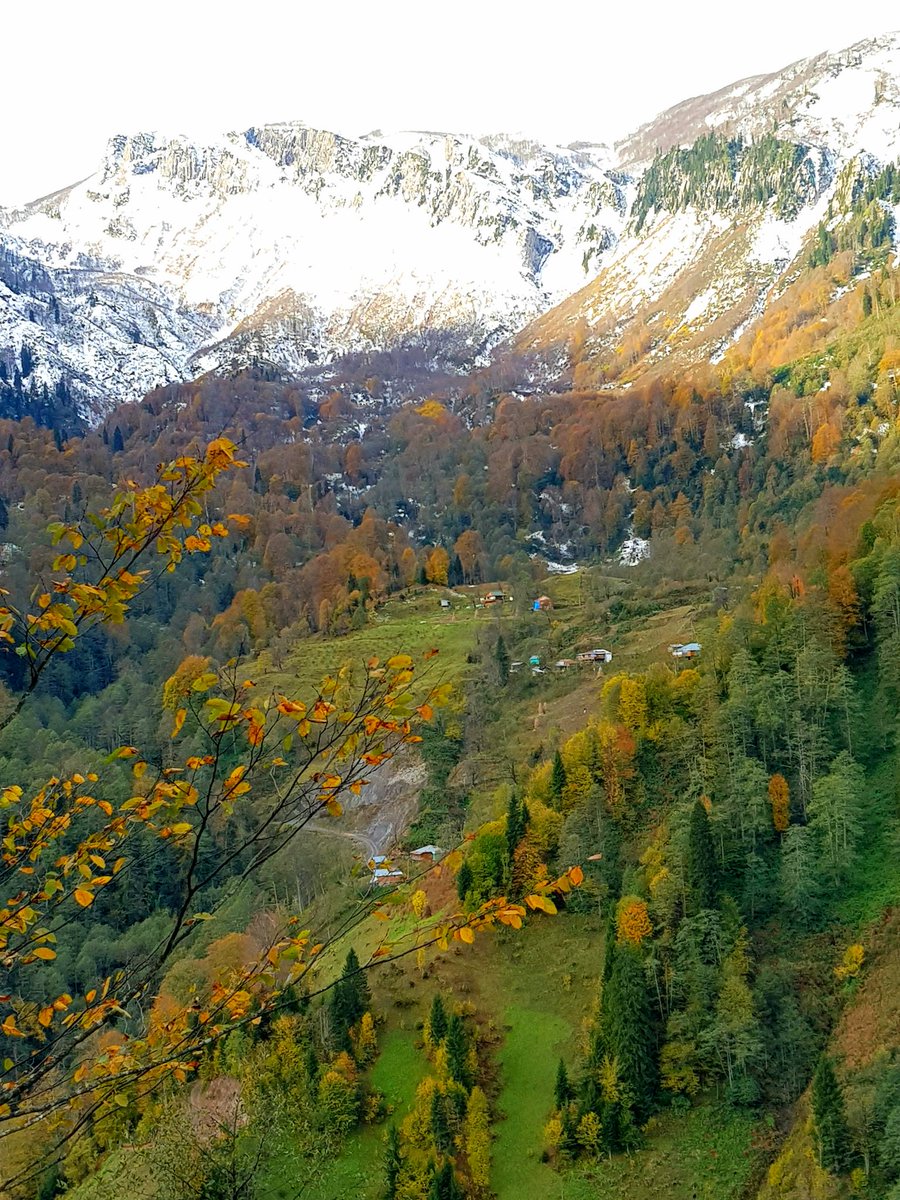 efeler köyü ARTVİN