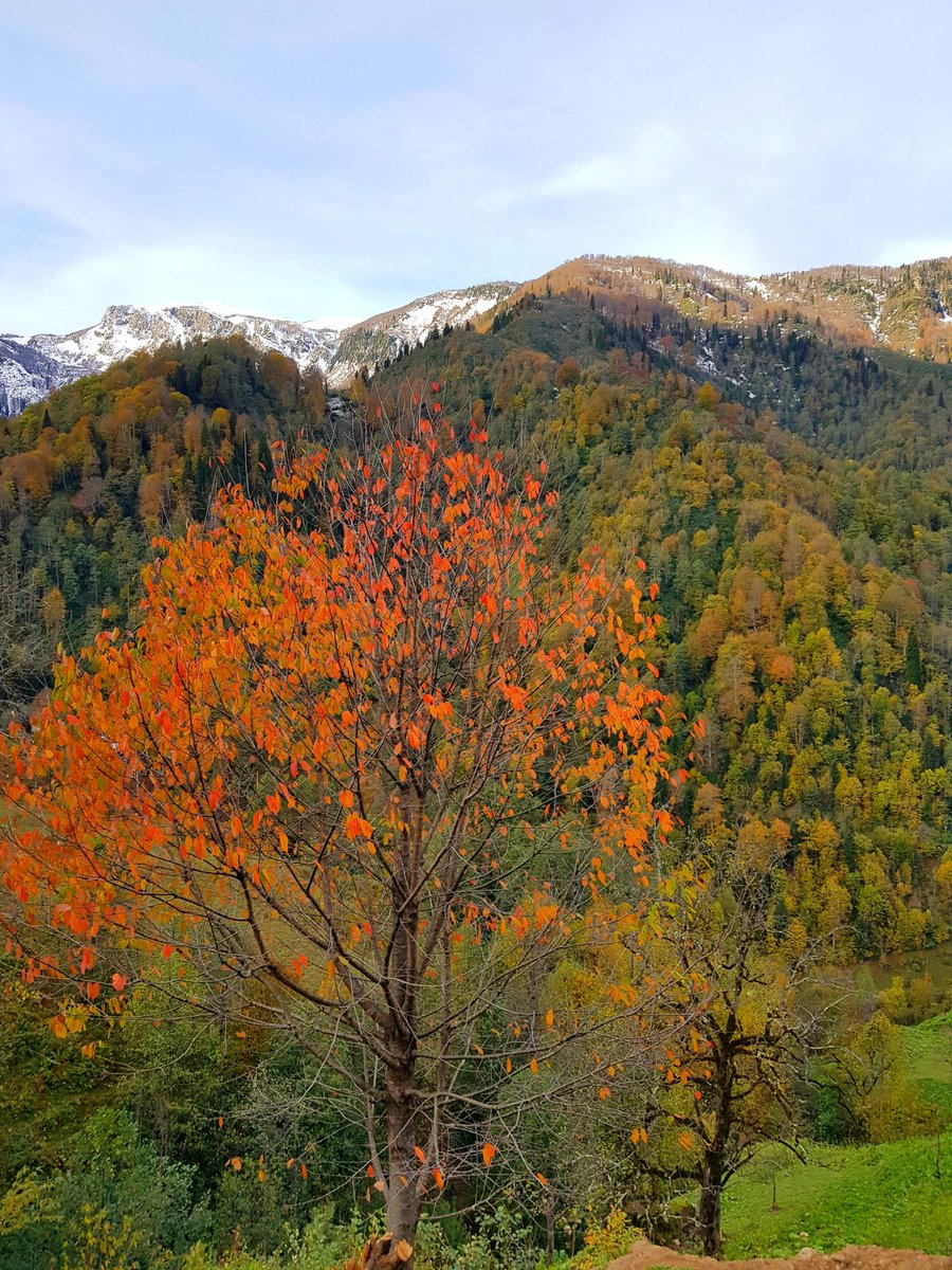 köye yolculuk sona erdi   efeler köyü  maçahel Artvin
