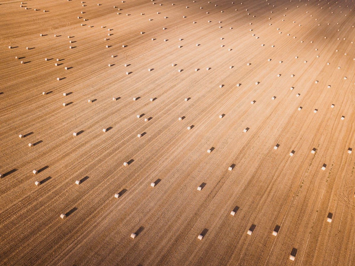 LPO France tweet media