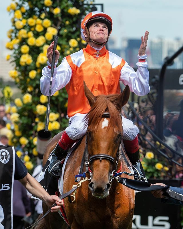 Craig Williams soaks in his Melbourne Cup victory on the Danny O’Brien trained, Vow and Declare, as he returns to scale. Picture Jay Town @jaytown1 #melbournecup #vowanddeclare #craigwilliams @dannyobrienracing @racingvictoria @flemingtonvrc ift.tt/2WKMDqg