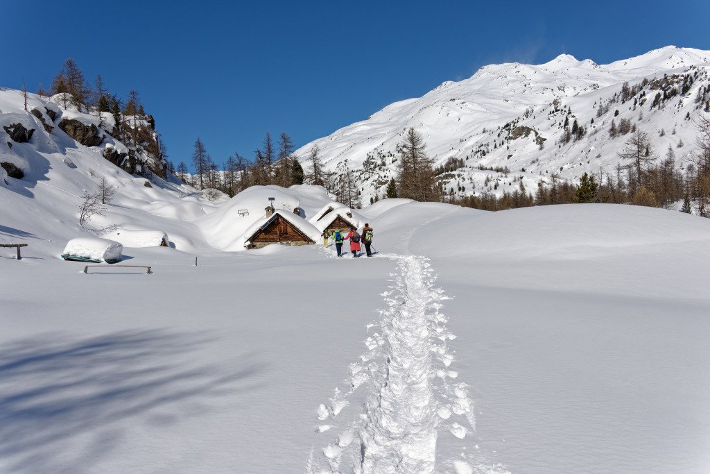 L’hiver à allure nature dans les Hautes Vallées – La Grave, la Clarée, l’Izoard destinationhautesvallees.com/2019/10/18/lhi…