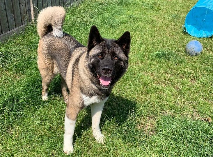RSPCA Leeds & Wakefield CIO tweet media
