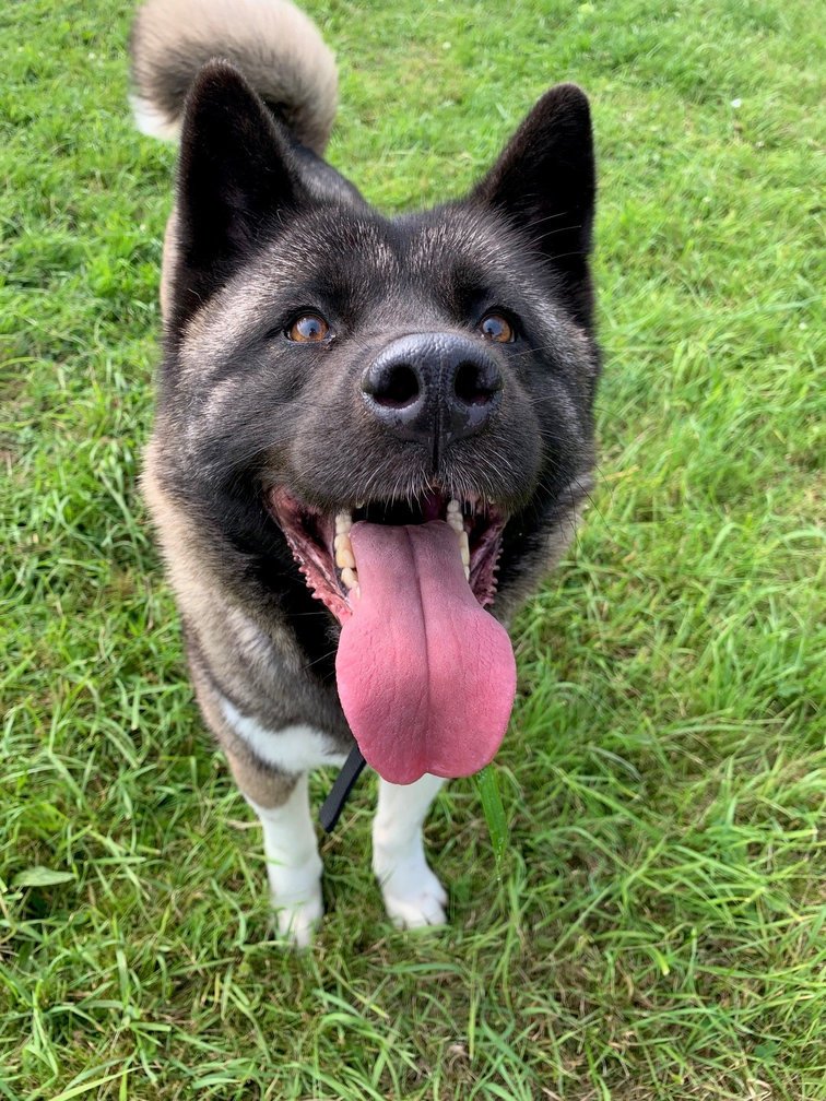 RSPCA Leeds & Wakefield CIO tweet media